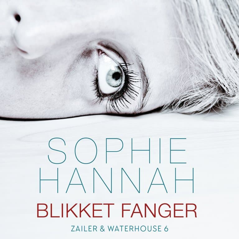 Omslag Blikket fanger av Sophie Hannah (Lydbok)