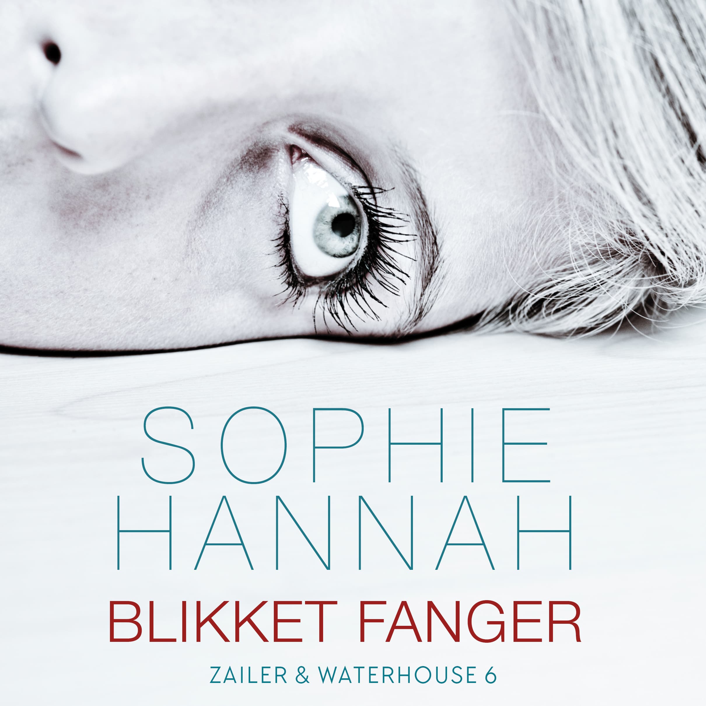 Omslag Blikket fanger av Sophie Hannah (Lydbok)