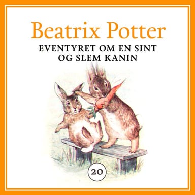 Omslag av "Eventyret om en sint og slem kanin"