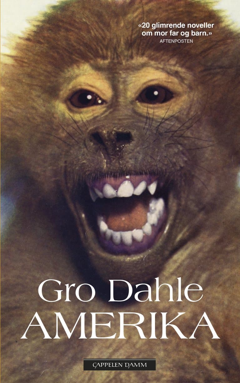 Omslag Amerika av Gro Dahle (Heftet)