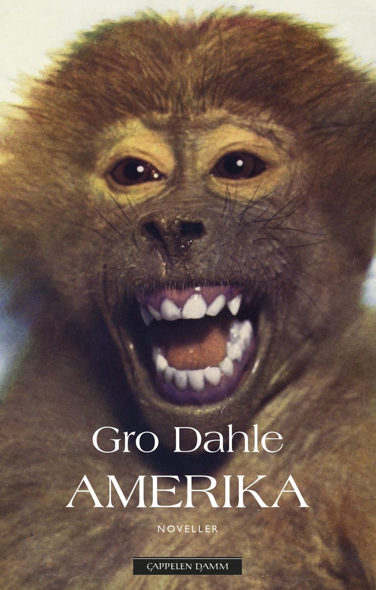 Omslag Amerika av Gro Dahle (Ebok)