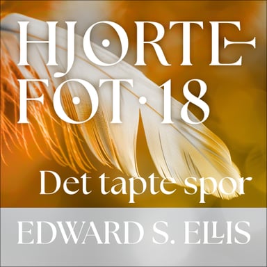 Omslag av "Det tapte spor"