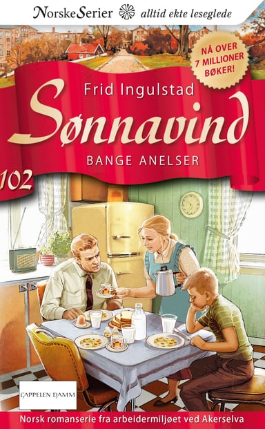 Omslag av "Bange anelser"