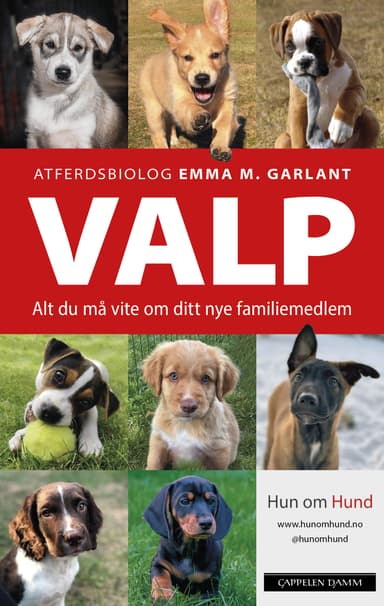VALP
