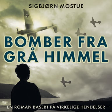 Omslag av "Bomber fra grå himmel"