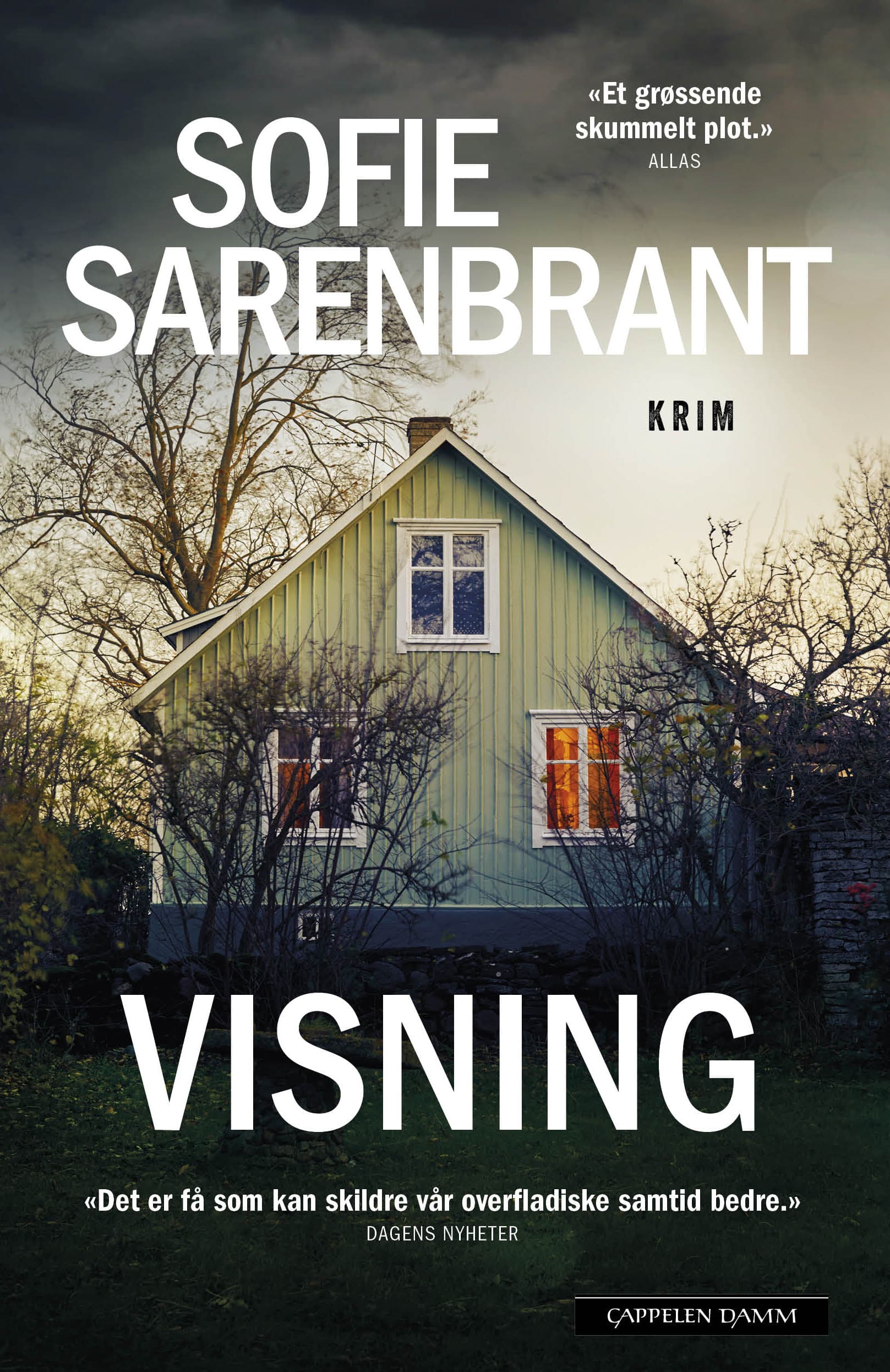 Omslag Visning av Sofie Sarenbrant (Innbundet)