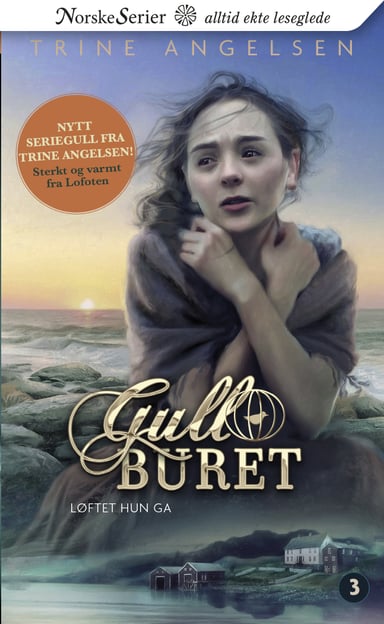 Omslag av "Løftet hun ga"