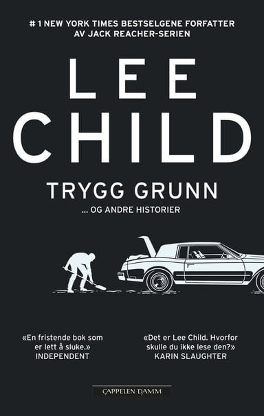 Omslag av "Trygg grunn"