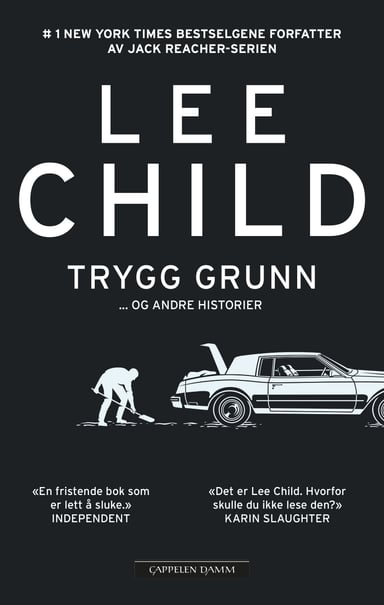 Omslag av "Trygg grunn"