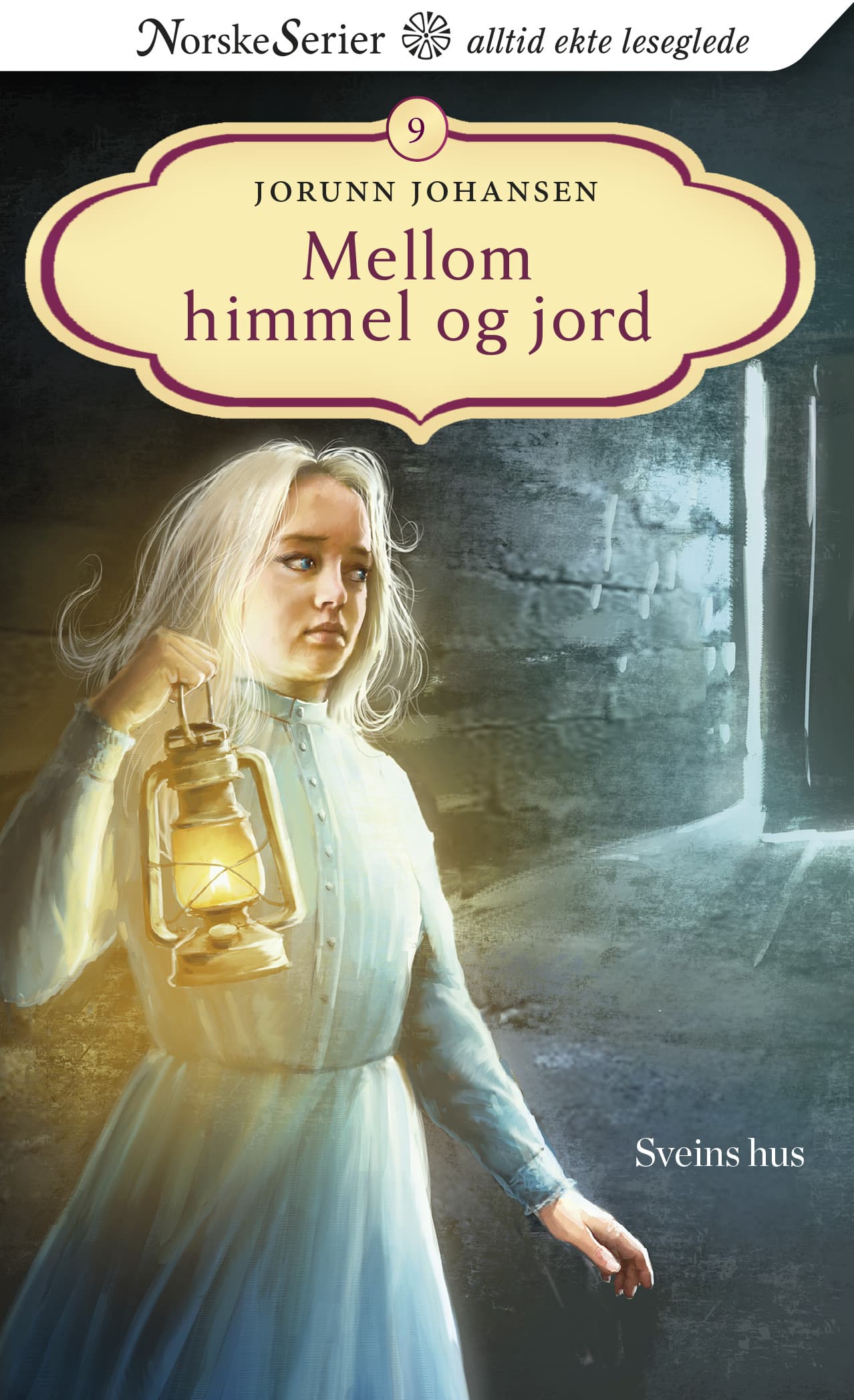 Omslag Sveins hus av Jorunn Johansen (Heftet)