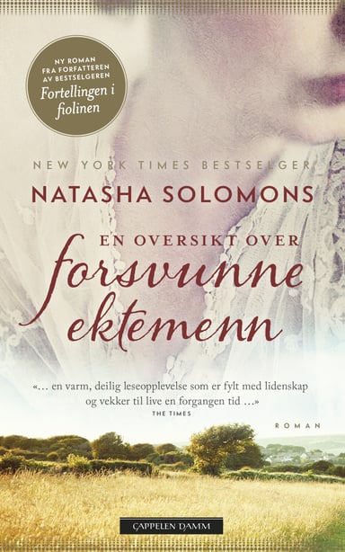 Omslag av "En oversikt over forsvunne ektemenn"