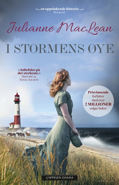 Omslag av "I stormens øye"