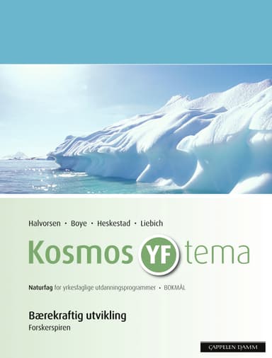 Kosmos YF tema Bærekraftig utvikling (2009)