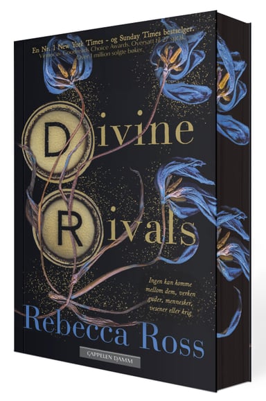 Omslag av "Divine Rivals"