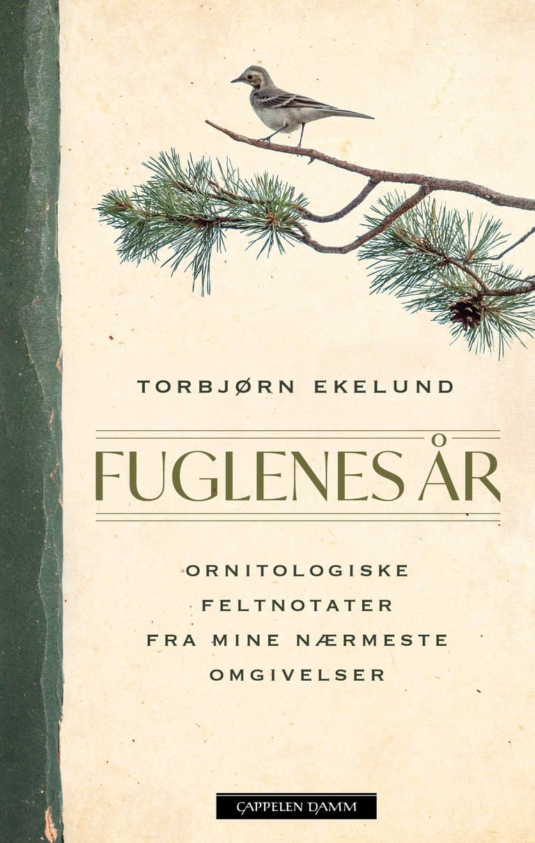 Omslag Fuglenes år av Torbjørn Ekelund (Ebok)