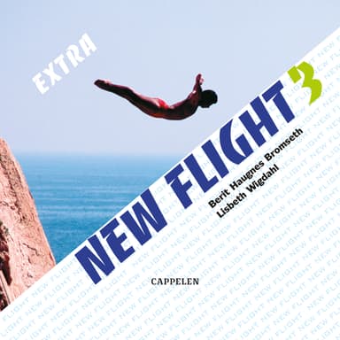 New Flight 3 Extra CD
