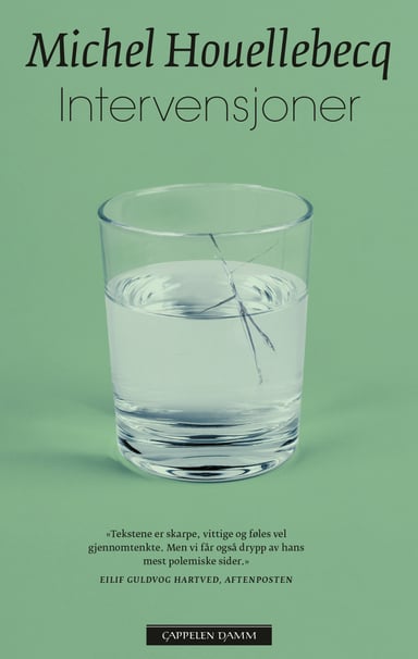 Omslag av "Intervensjoner"