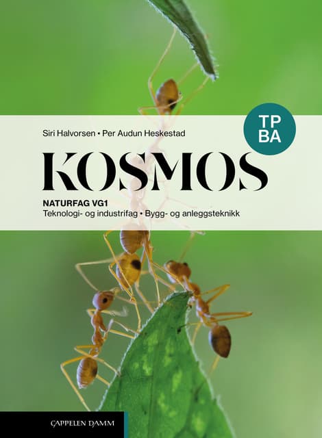Omslag Kosmos TP BA (2026) av Siri Halvorsen og Per Audun Heskestad (Fleksibind)