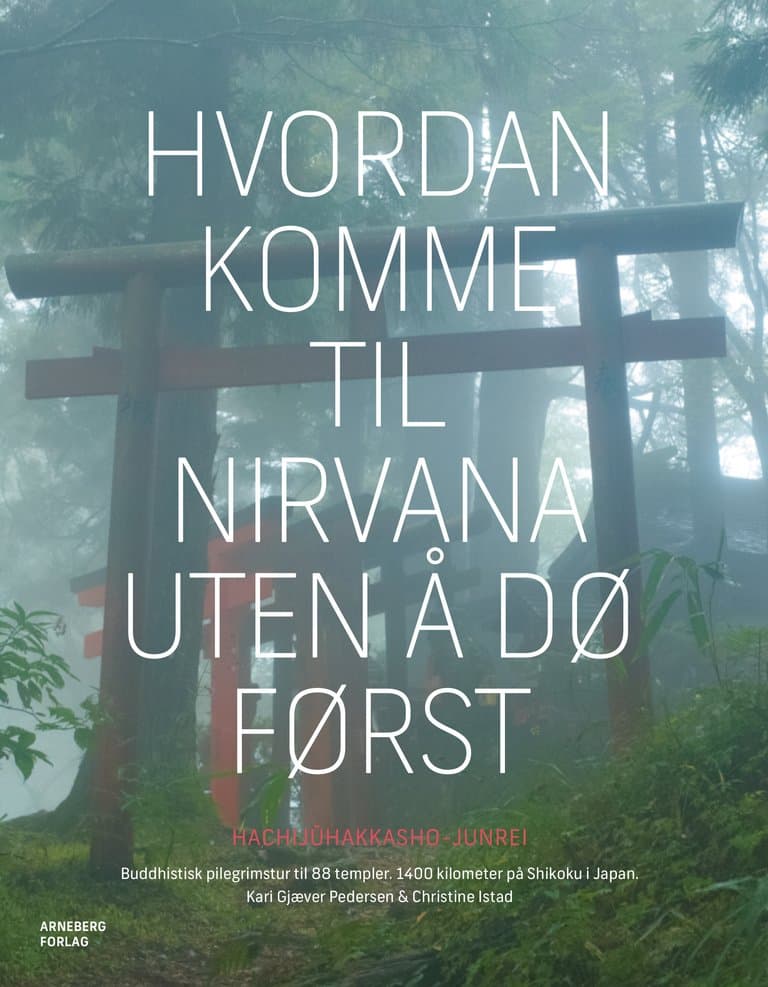 Omslag Hvordan komme til Nirvana uten å dø først av Kari Gjæver Pedersen og Christine Istad (Innbundet)