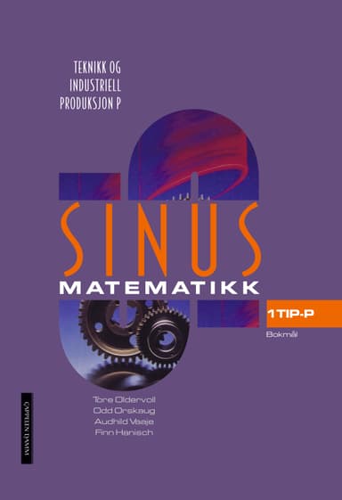Sinus Teknikk og industriell produksjon P (2009)