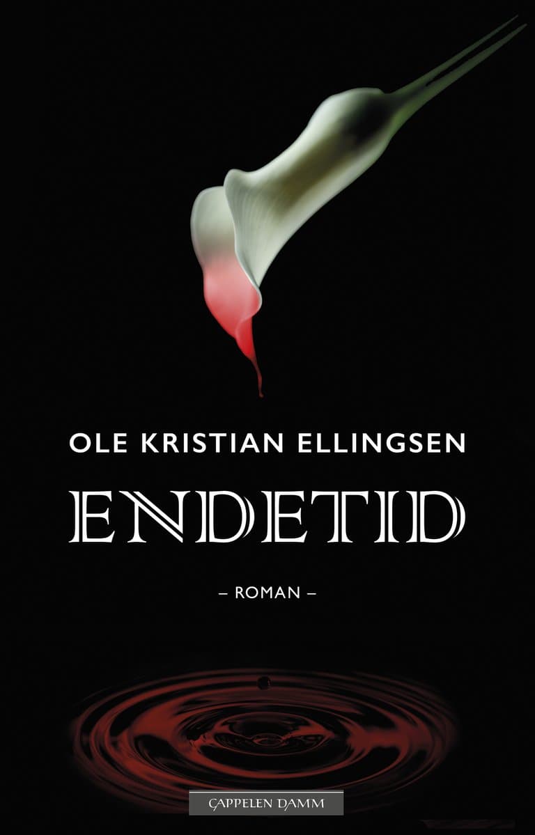 Omslag Endetid av Ole Kristian Ellingsen (Innbundet)