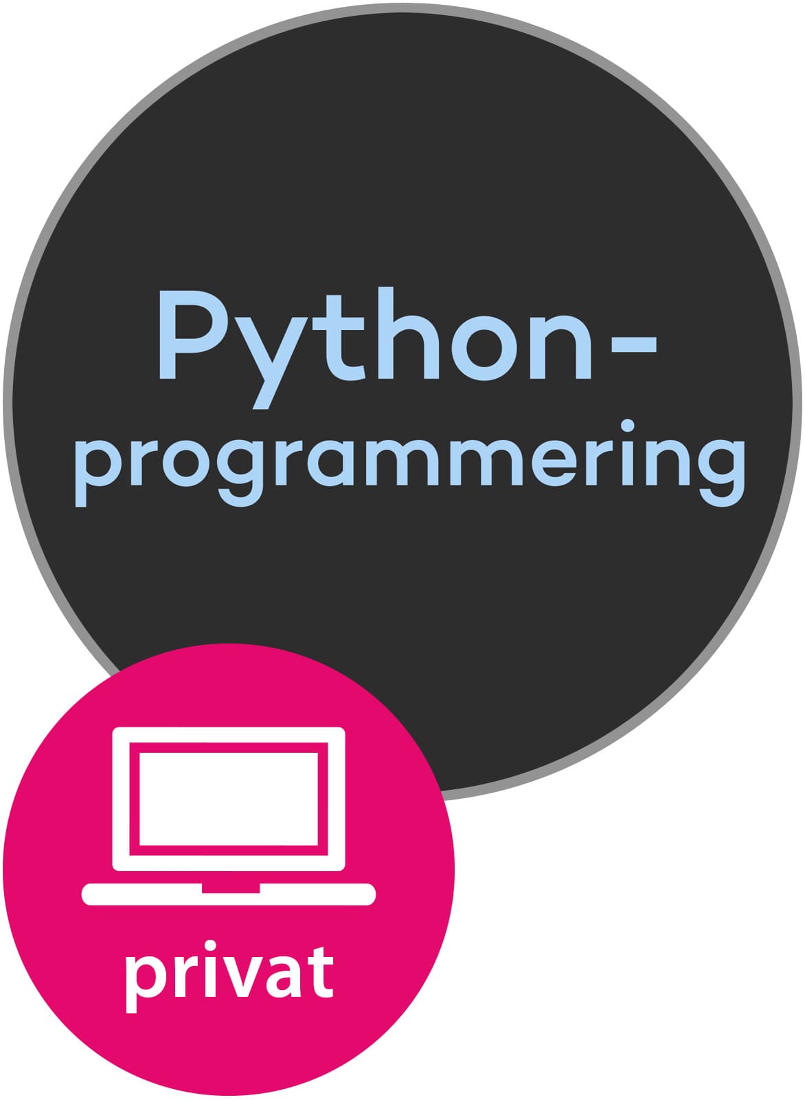 Omslag Python-programmering i matematikkfaget av Tor Espen Kristensen og Christoph Kirfel (Digital tjeneste)