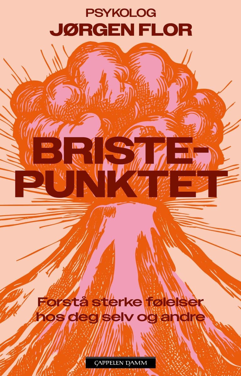 Omslag Bristepunktet av Jørgen Flor (Heftet)