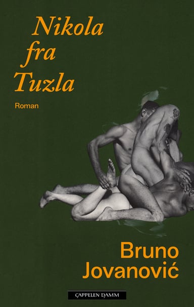 Omslag av "Nikola fra Tuzla"