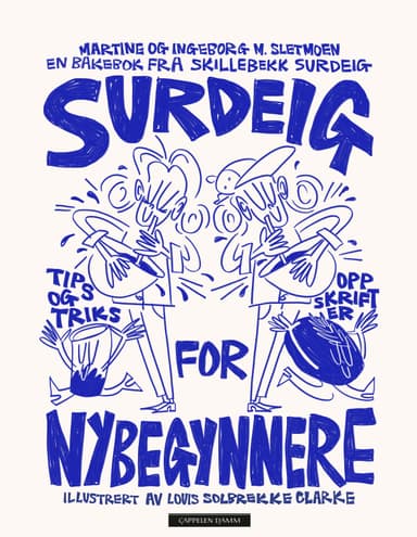 Surdeig for nybegynnere