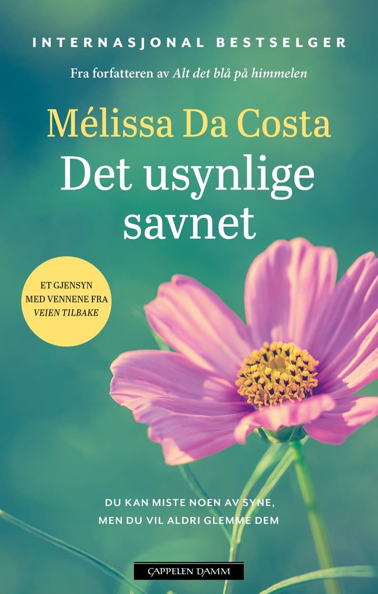 Omslag Det usynlige savnet av Mélissa Da Costa (Innbundet)