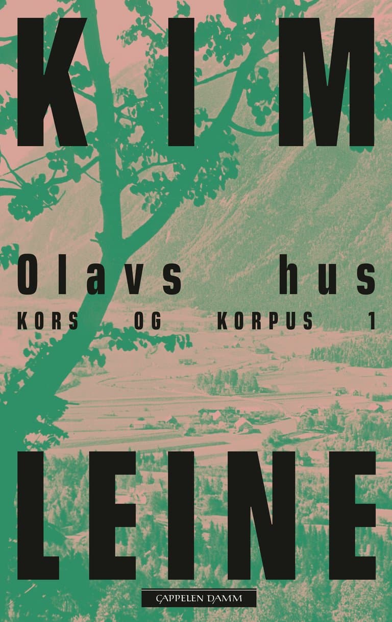 Omslag Olavs hus av Kim Leine (Ebok)