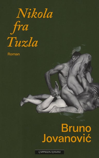 Omslag av "Nikola fra Tuzla"