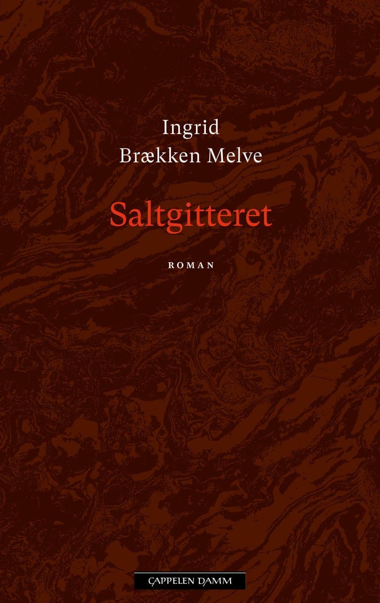 Omslag Saltgitteret av Ingrid Brækken Melve (Innbundet)