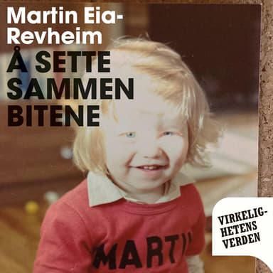 Å sette sammen bitene - Min historie om vold, skam og reparasjon