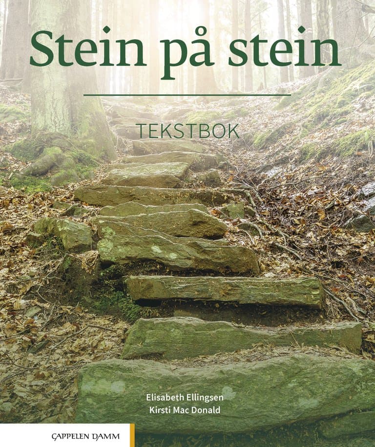 Omslag Stein på stein Tekstbok av Elisabeth Ellingsen og Kirsti Mac Donald (Heftet)