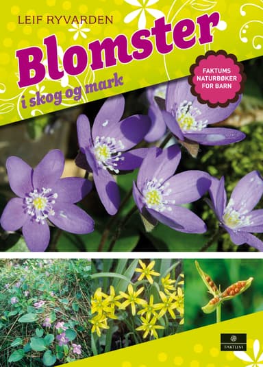 Blomster i skog og mark