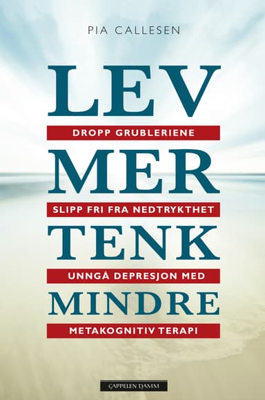 Lev mer tenk mindre